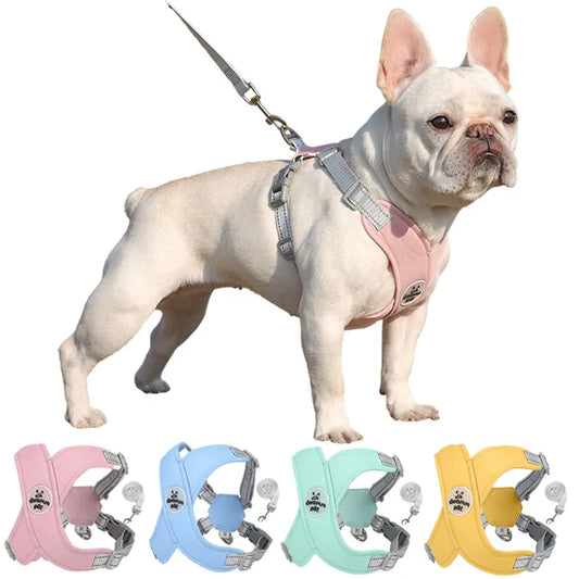 X Shaped Harness Vest Set for Small Meidum Dogs